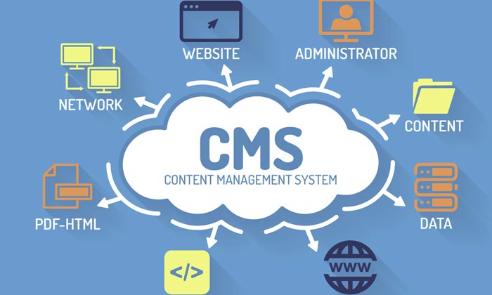 CMS Web Design | Web Services | Spectrum Tech